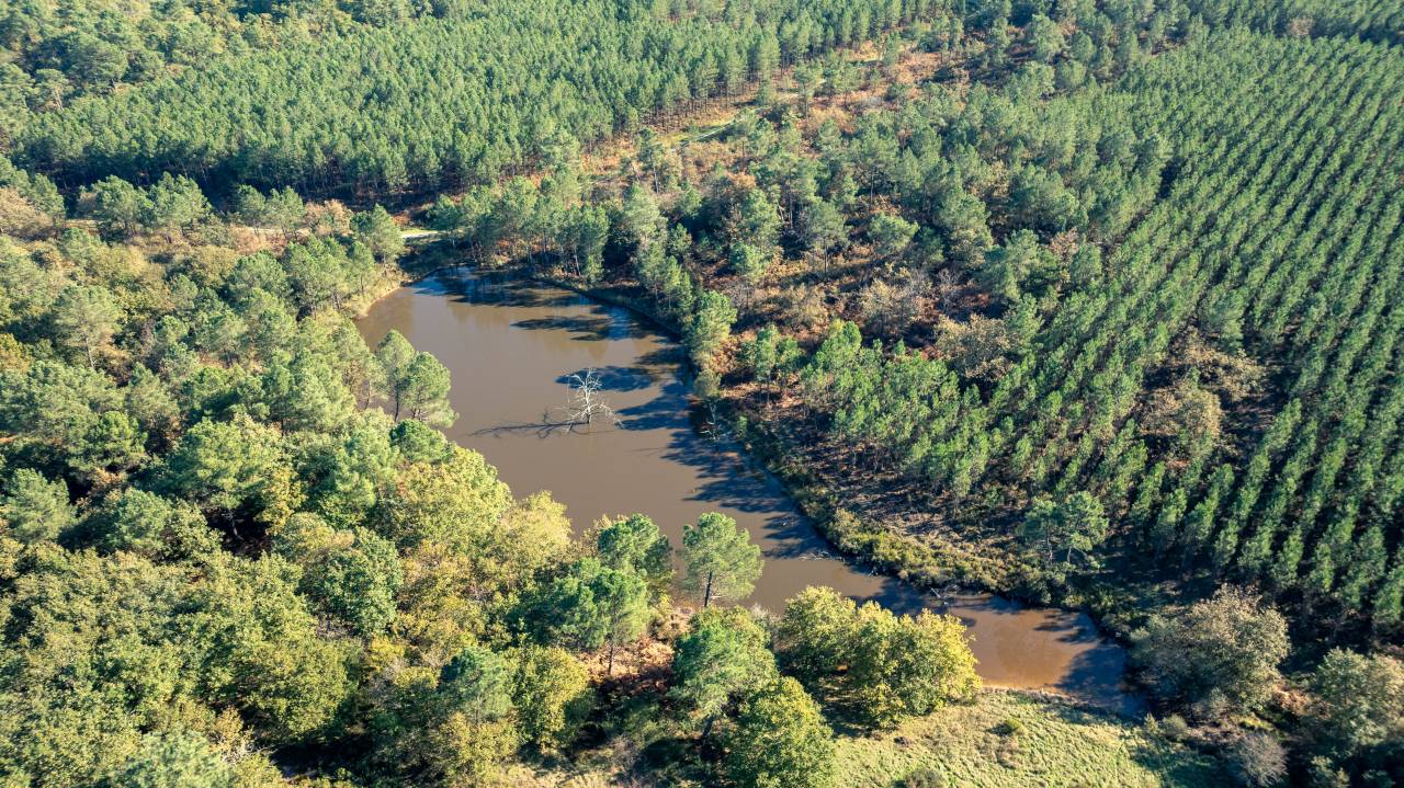 A 20 min de Chalais, sur + de 32 hectares dt 8 de pins