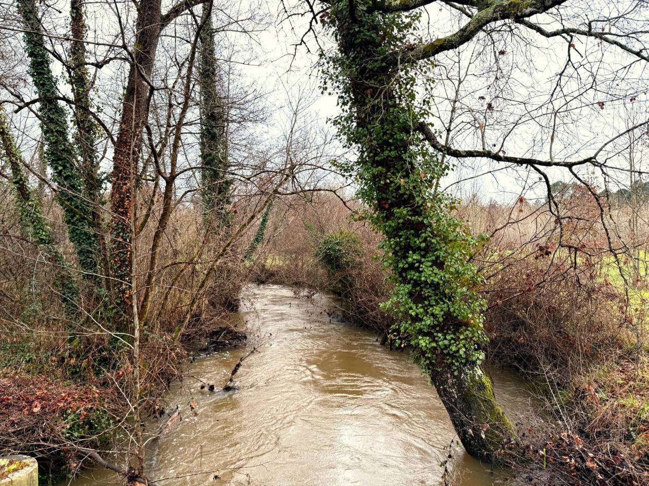 A 7 min de Montguyon, Sur 10 hect ancien moulin &agrave; eau