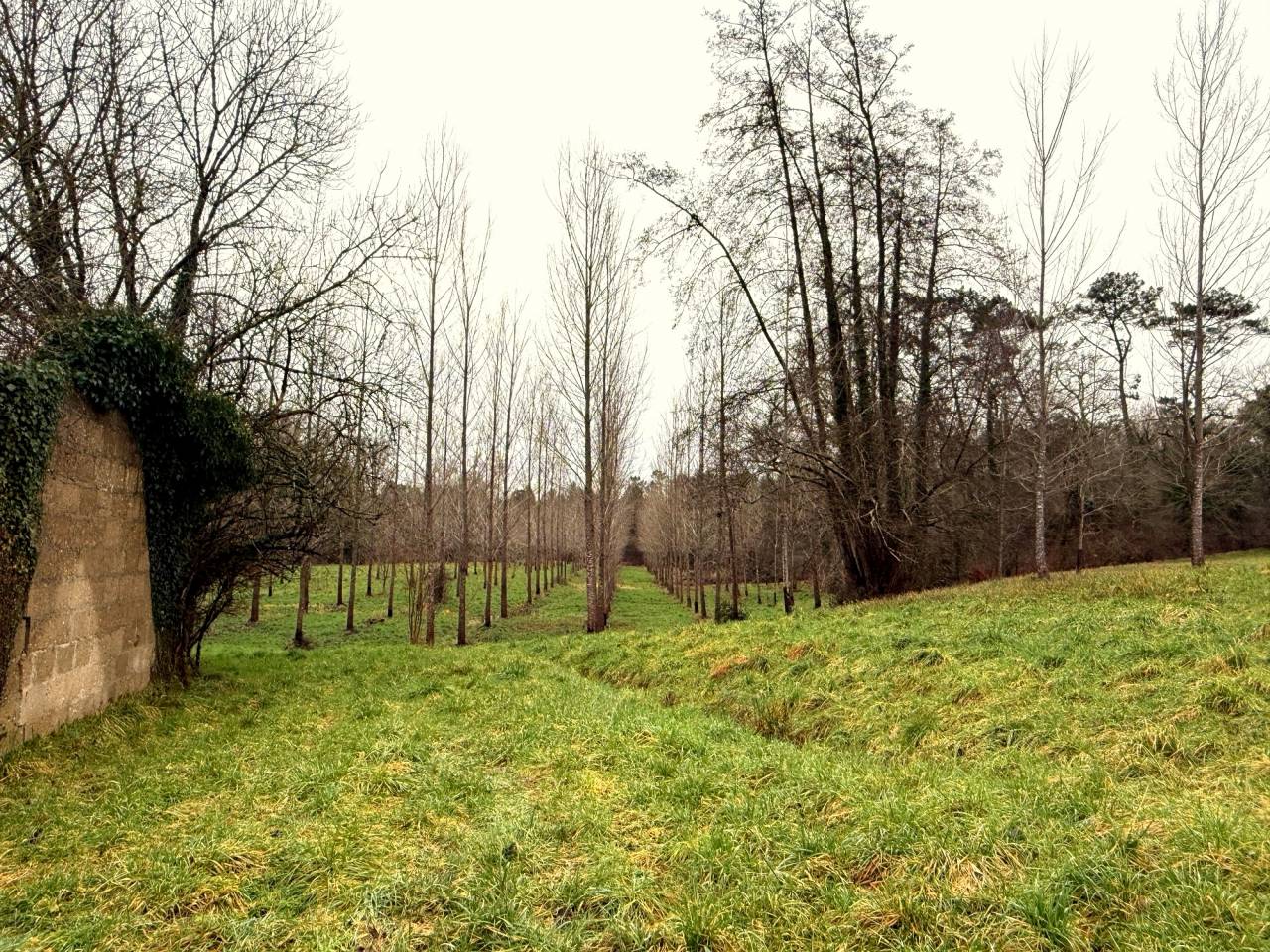 A 7 min de Montguyon, Sur 10 hect ancien moulin &agrave; eau