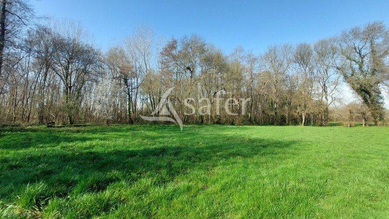 LIBOURNAIS: Hangar agricole + 8 hectares