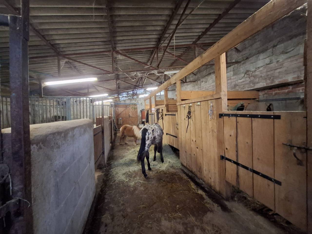 Maison &agrave; vendre Le Breuil