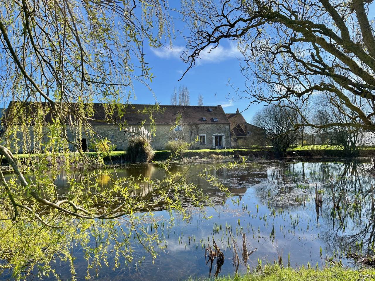 Propri&eacute;t&eacute; &eacute;questre 12 ha&ndash; &Eacute;curie 6 boxes &ndash; Orne (61)