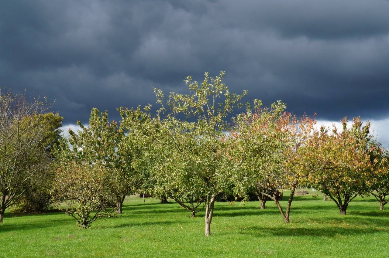 Propri&eacute;t&eacute; &eacute;questre 12 ha&ndash; &Eacute;curie 6 boxes &ndash; Orne (61)