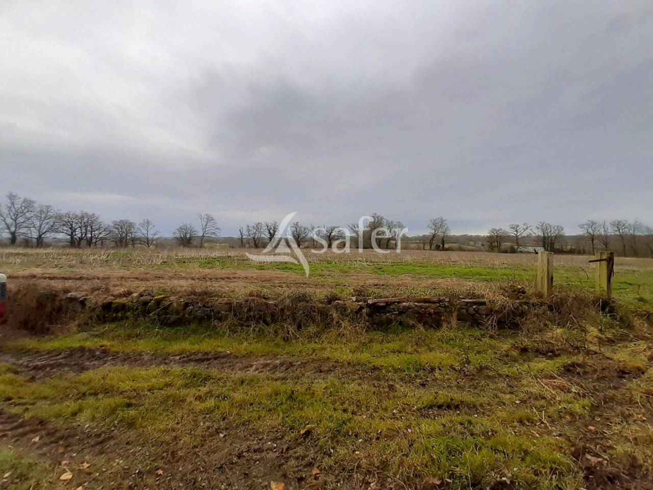 Propri&eacute;t&eacute; Rurale sur environ 6 ha