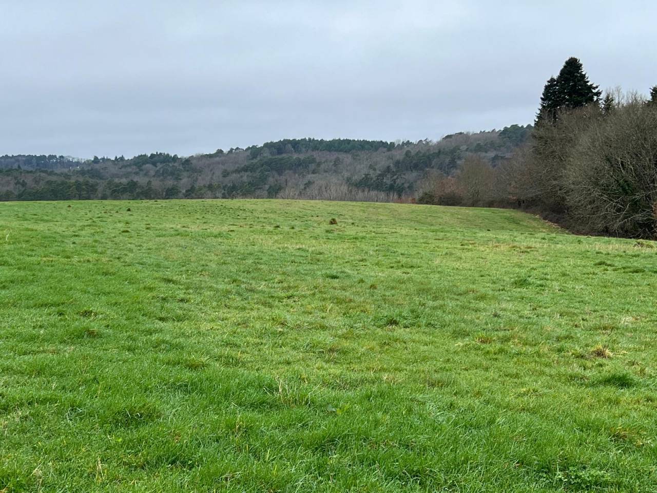 Propri&eacute;t&eacute; de caract&egrave;re avec 28 ha P&eacute;rigord Vert