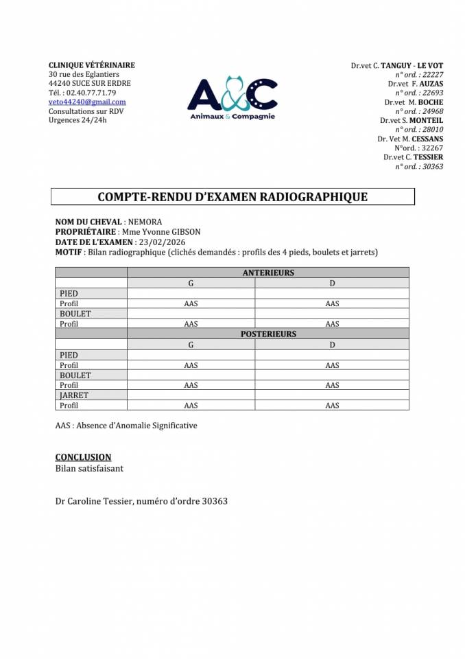 Casallo Z  belle pouliche