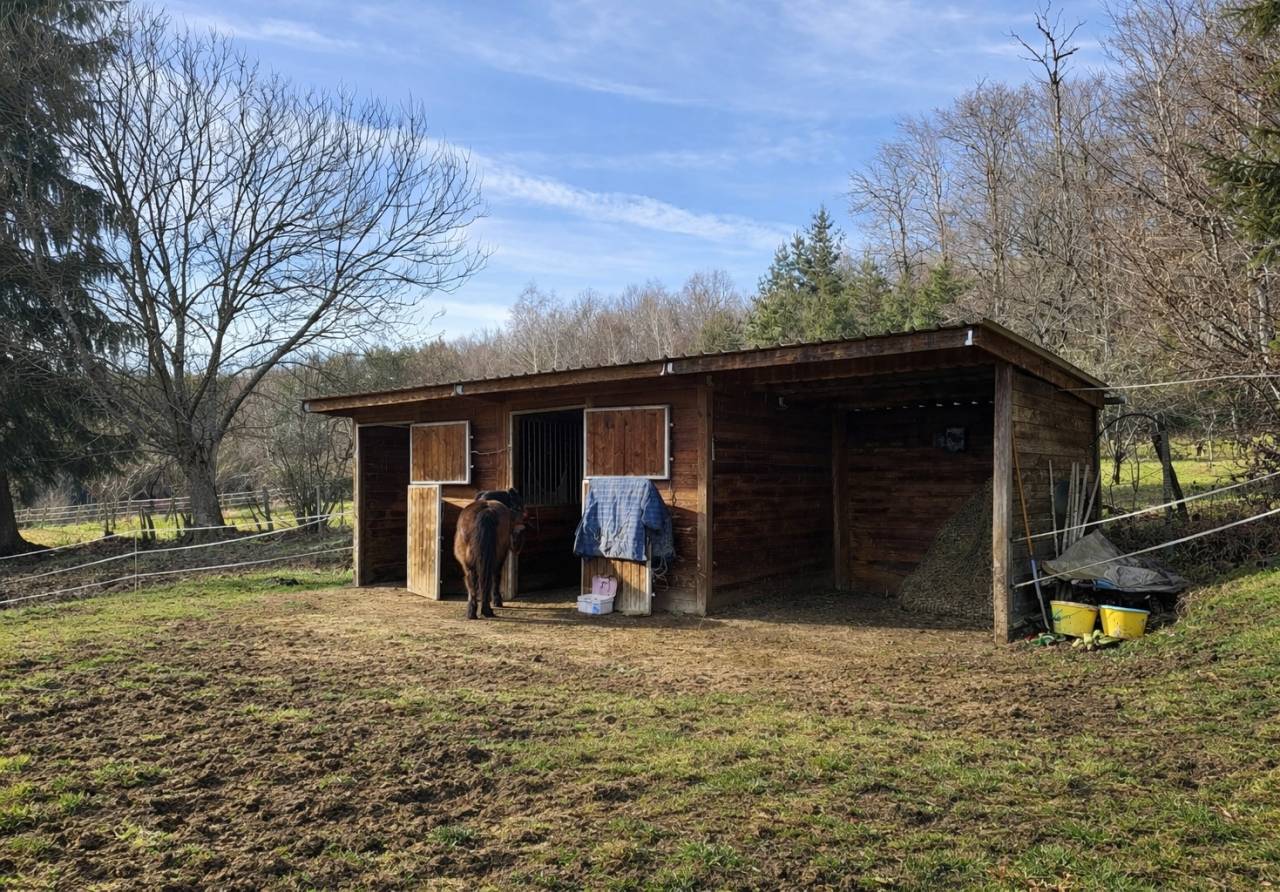 Maison avec boxes sur 1,6 hectare