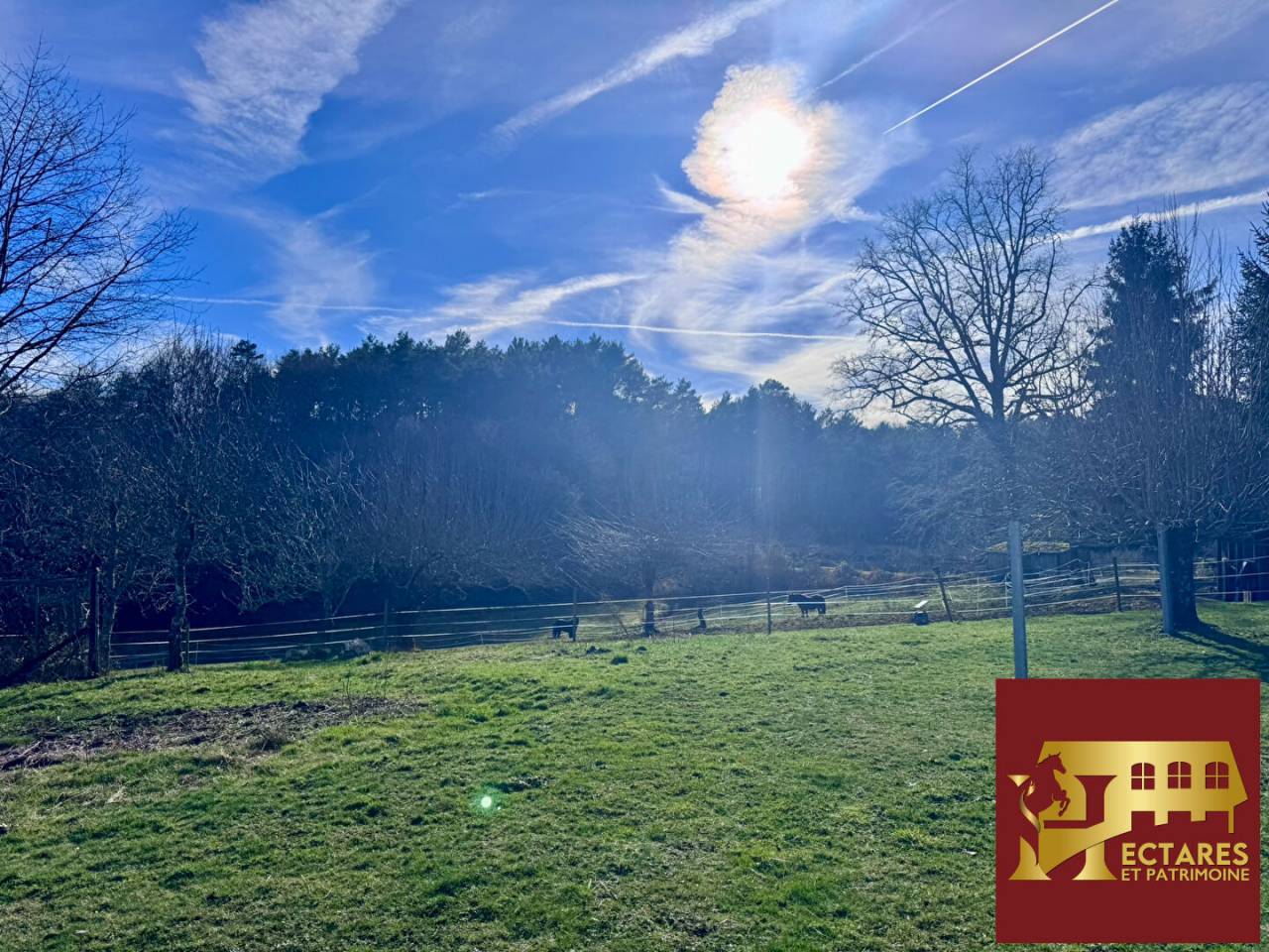 Maison avec boxes sur 1,6 hectare