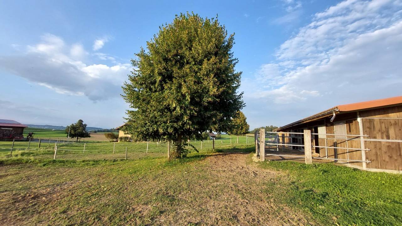 Place pour cheval dans petit coin de paradis, Arconciel