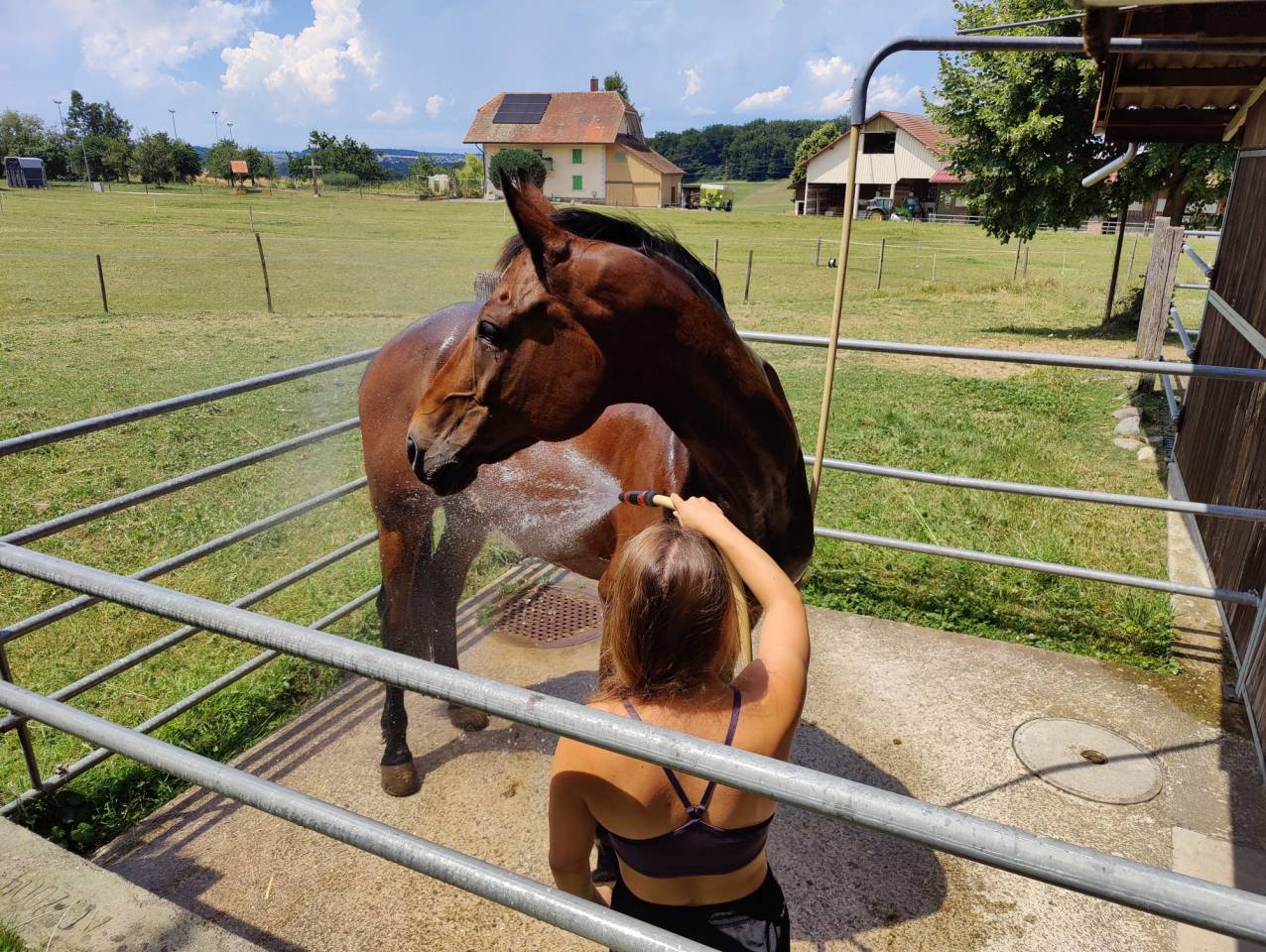 Place pour cheval dans petit coin de paradis, Arconciel