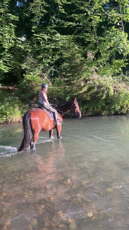 Place pour cheval dans petit coin de paradis, Arconciel