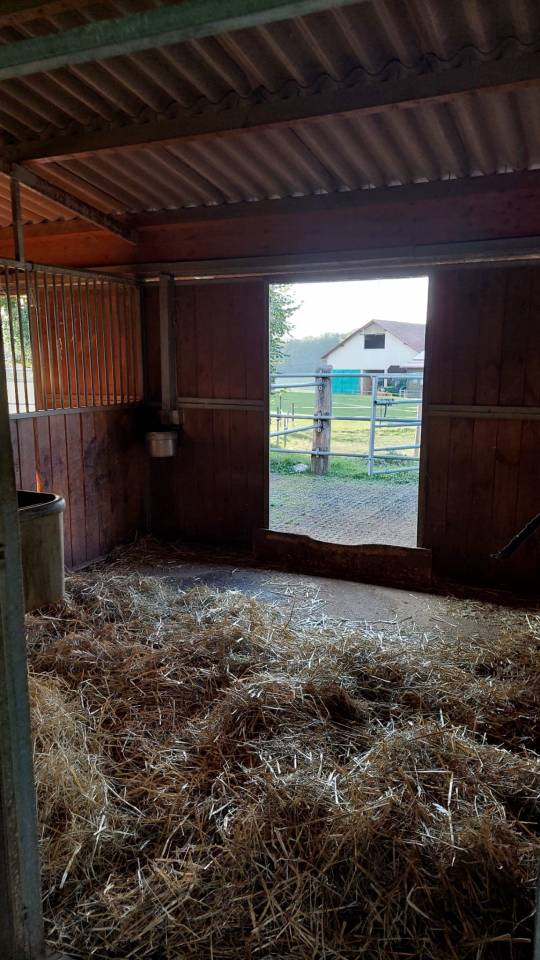 Place pour cheval dans petit coin de paradis, Arconciel