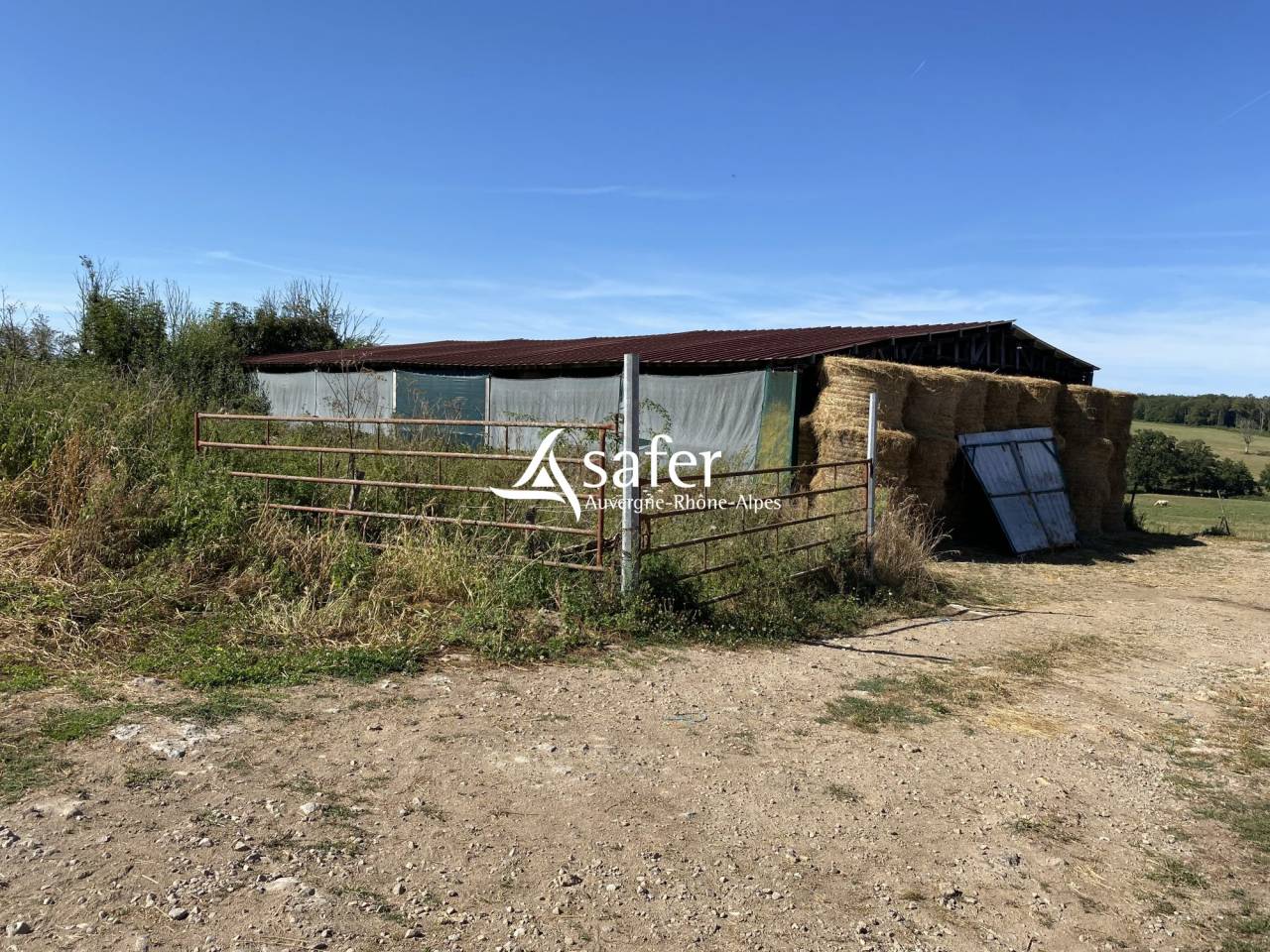 Exploitation avicole / bovin - Secteurs Moulin Montlu&ccedil;on