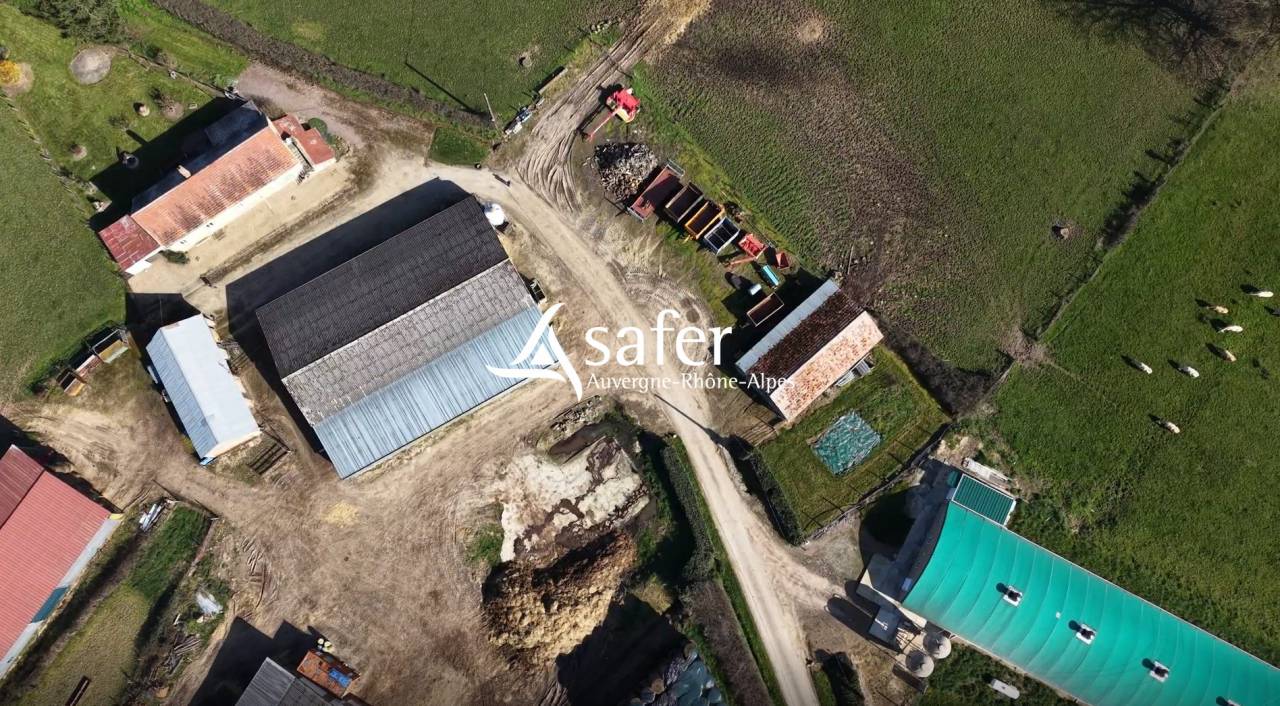 Exploitation avicole / bovin - Secteurs Moulin Montlu&ccedil;on