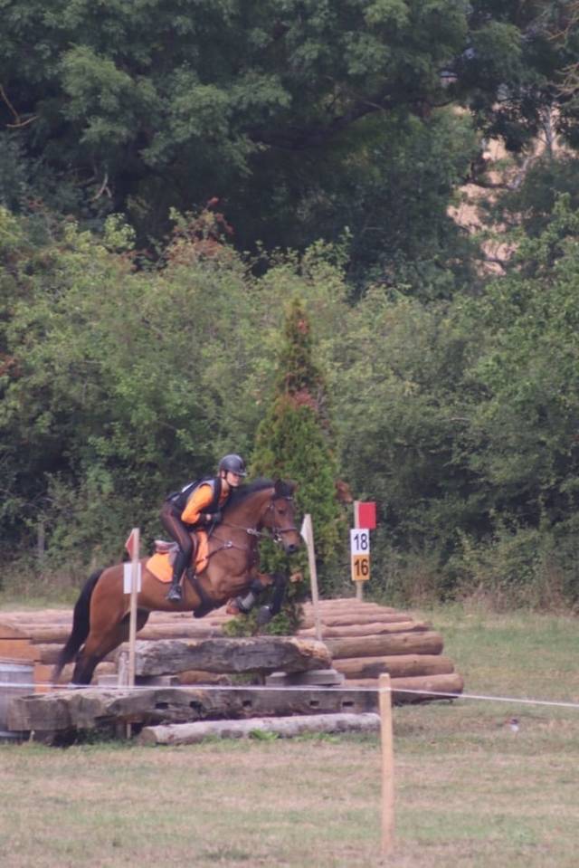 Poney de sport &agrave; vendre