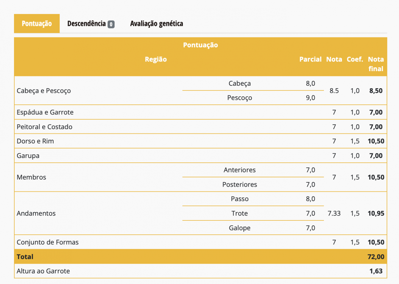 Jument Pure Sang Lusitanienne d&rsquo;Exception