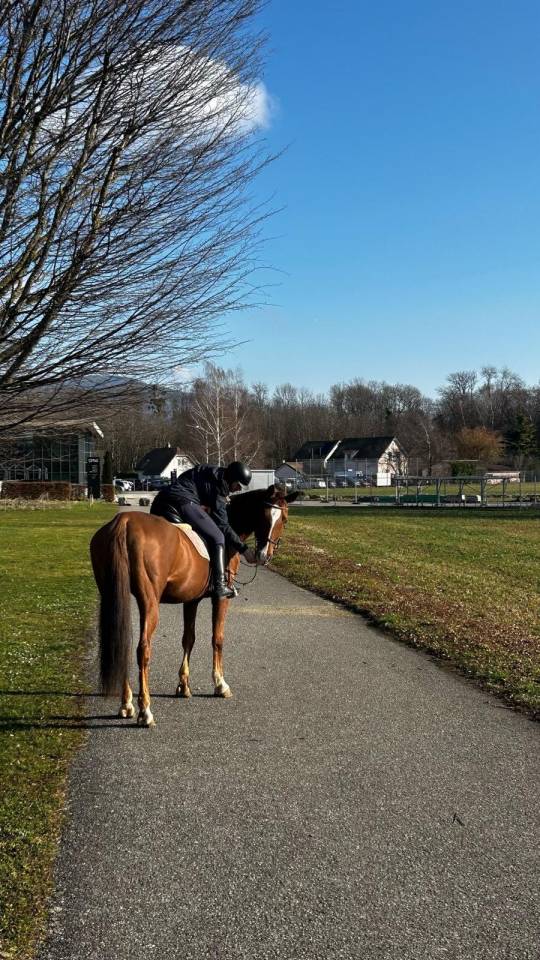 Mia jument &agrave; vendre