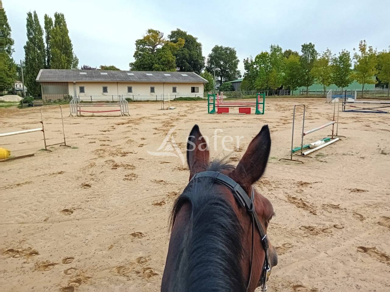 Propri&eacute;t&eacute; Equestre
