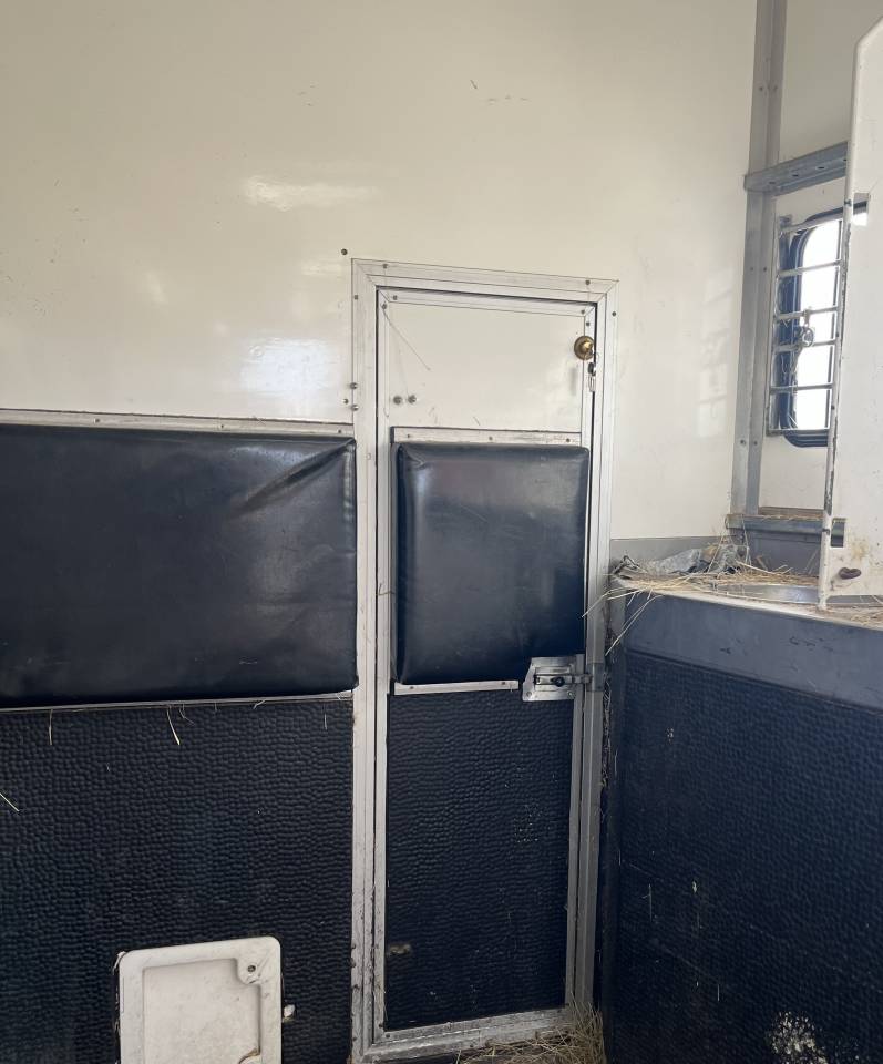 PL 8 places chevaux 6 couchages Renault 430 de 2012 