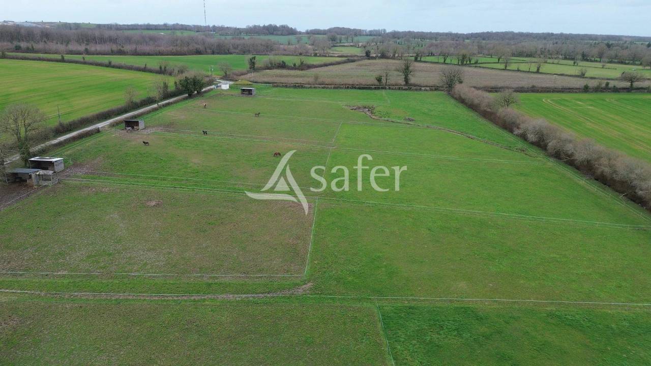 Propri&eacute;t&eacute; &eacute;questre sur environ 8 ha