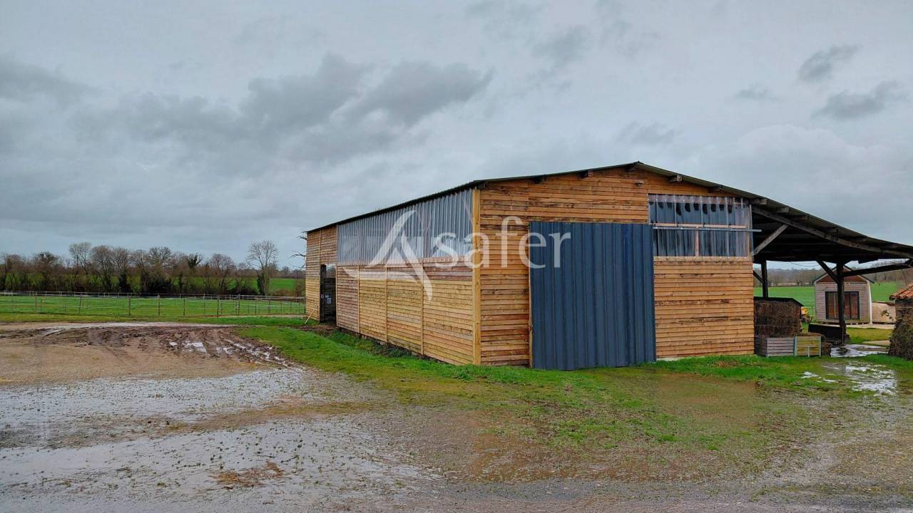 Propri&eacute;t&eacute; &eacute;questre sur environ 8 ha