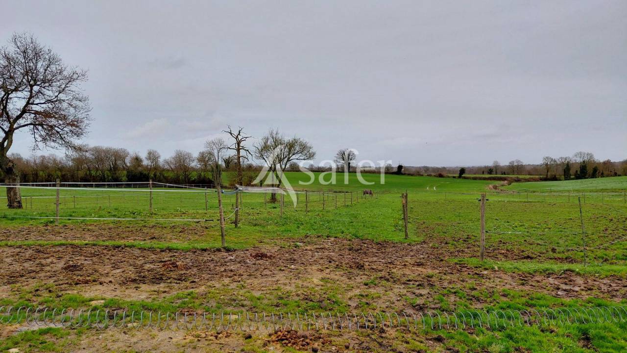 Propri&eacute;t&eacute; &eacute;questre sur environ 8 ha