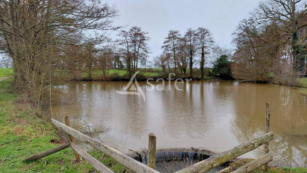 Propri&eacute;t&eacute; &eacute;questre sur environ 8 ha