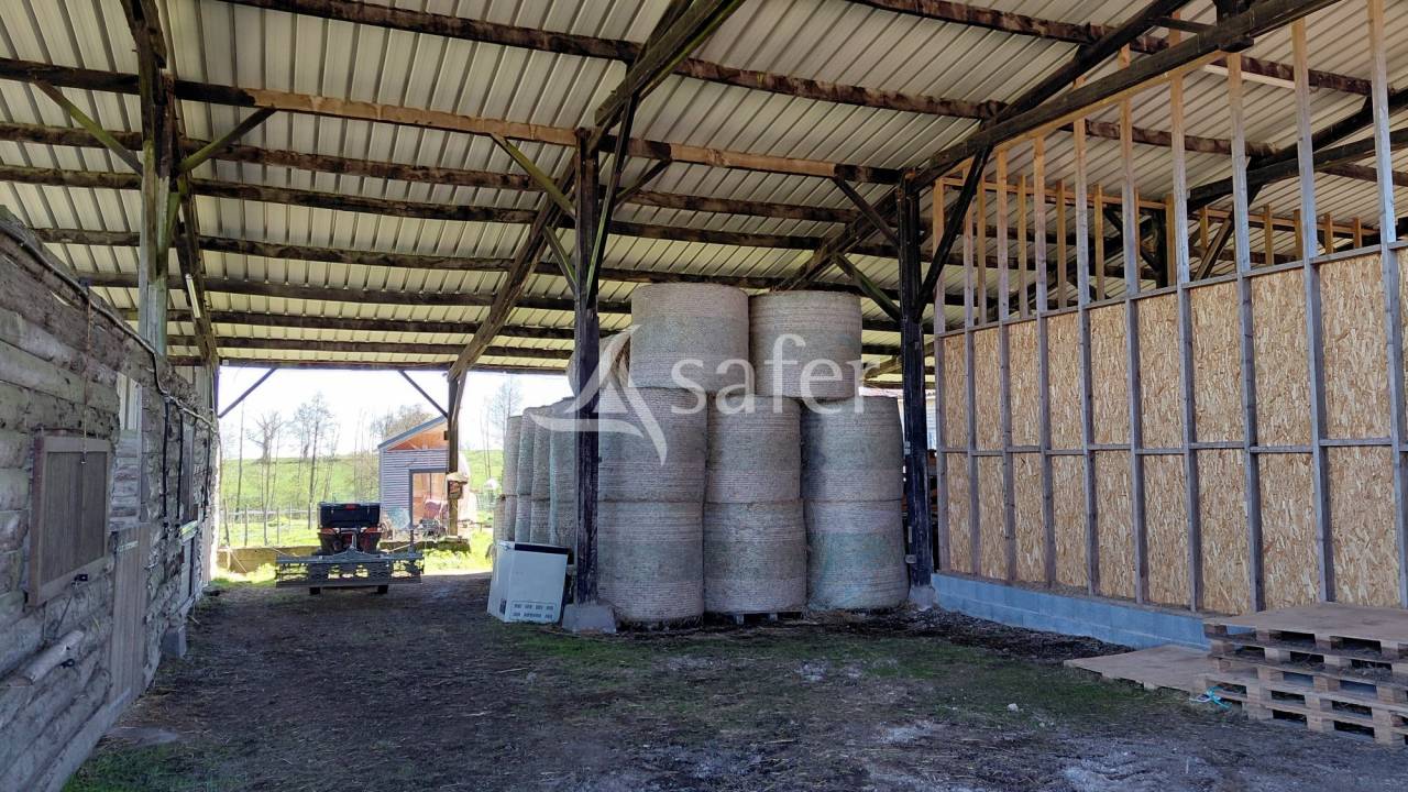 Propri&eacute;t&eacute; &eacute;questre sur environ 8 ha