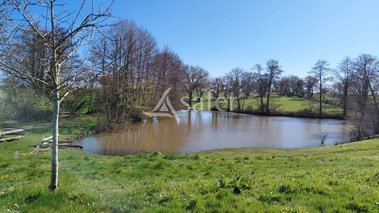 Propri&eacute;t&eacute; &eacute;questre sur environ 8 ha