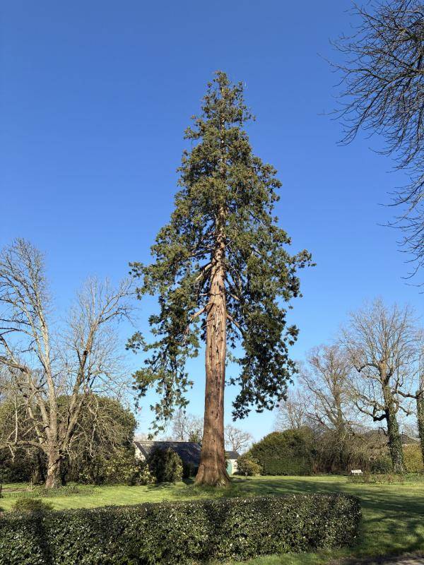 Domaine d'exception avec ch&acirc;teau XIX? si&egrave;cle, g&icirc;tes et 13