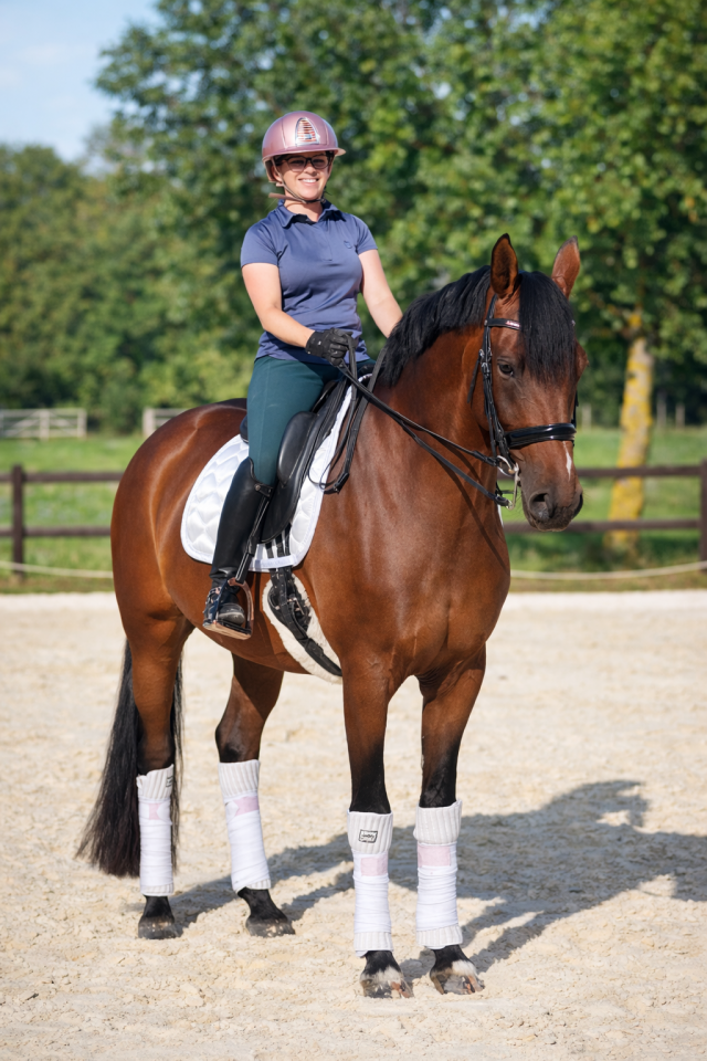 Jument - KWPN - 10 ans - Dressage - France