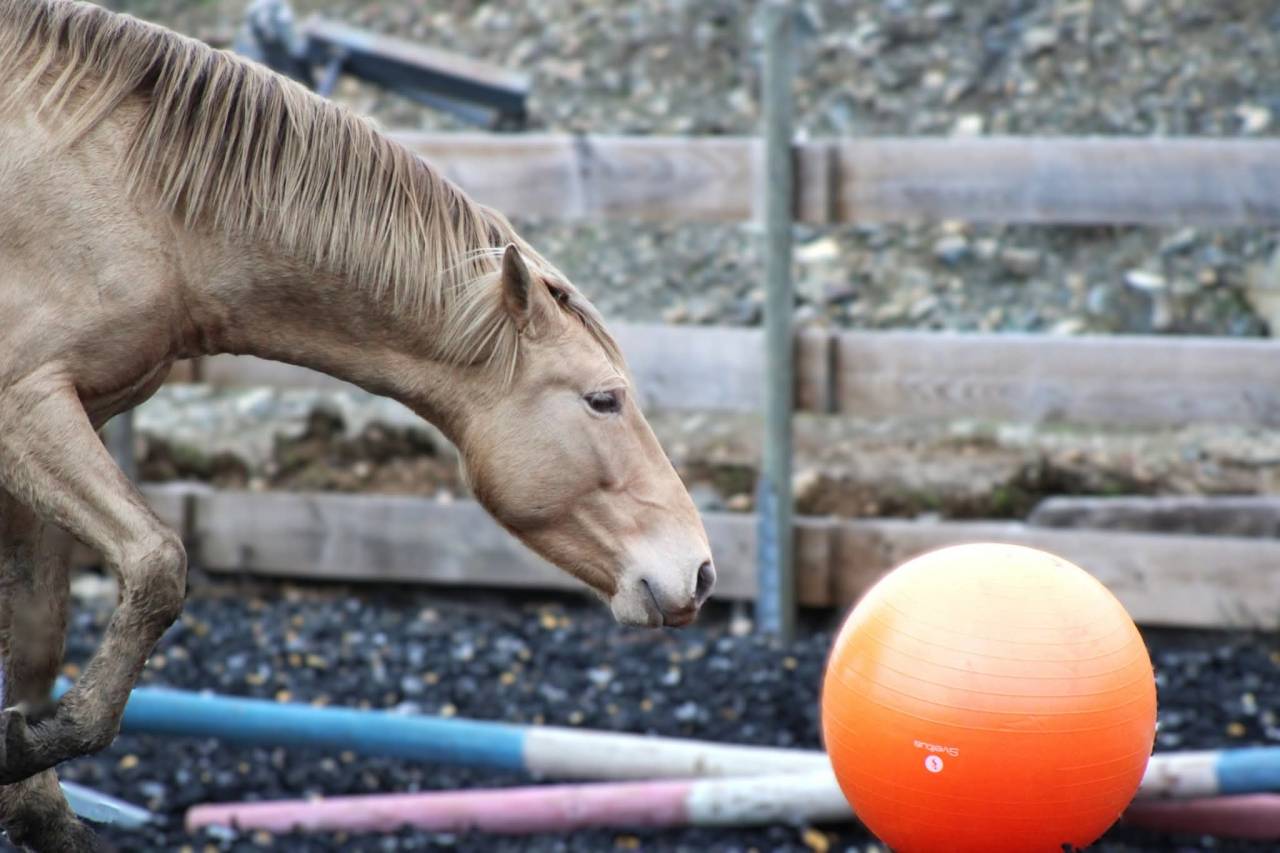 &Eacute;talon PRE double pearl