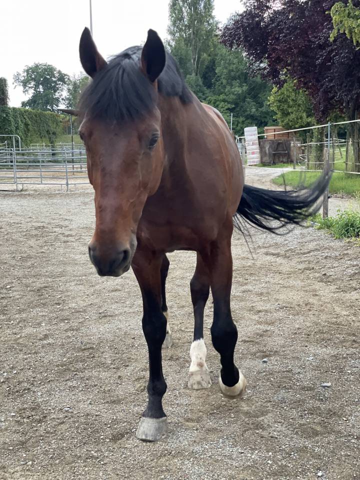 Demi/quart‑pension