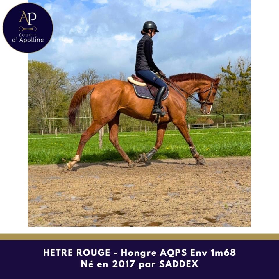 Magnifique AQPS env 1m68