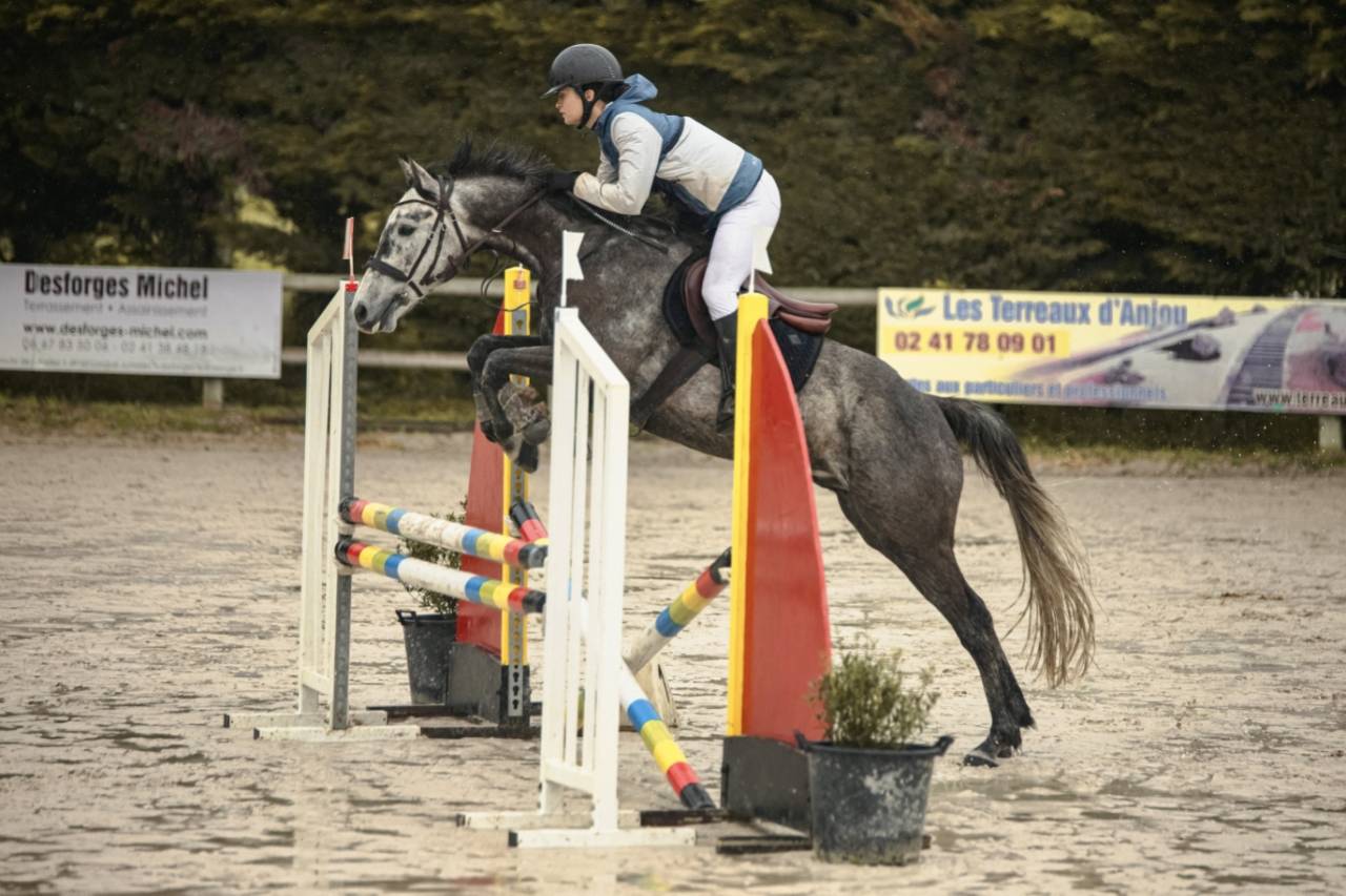 A vendre, ou location, ou pension