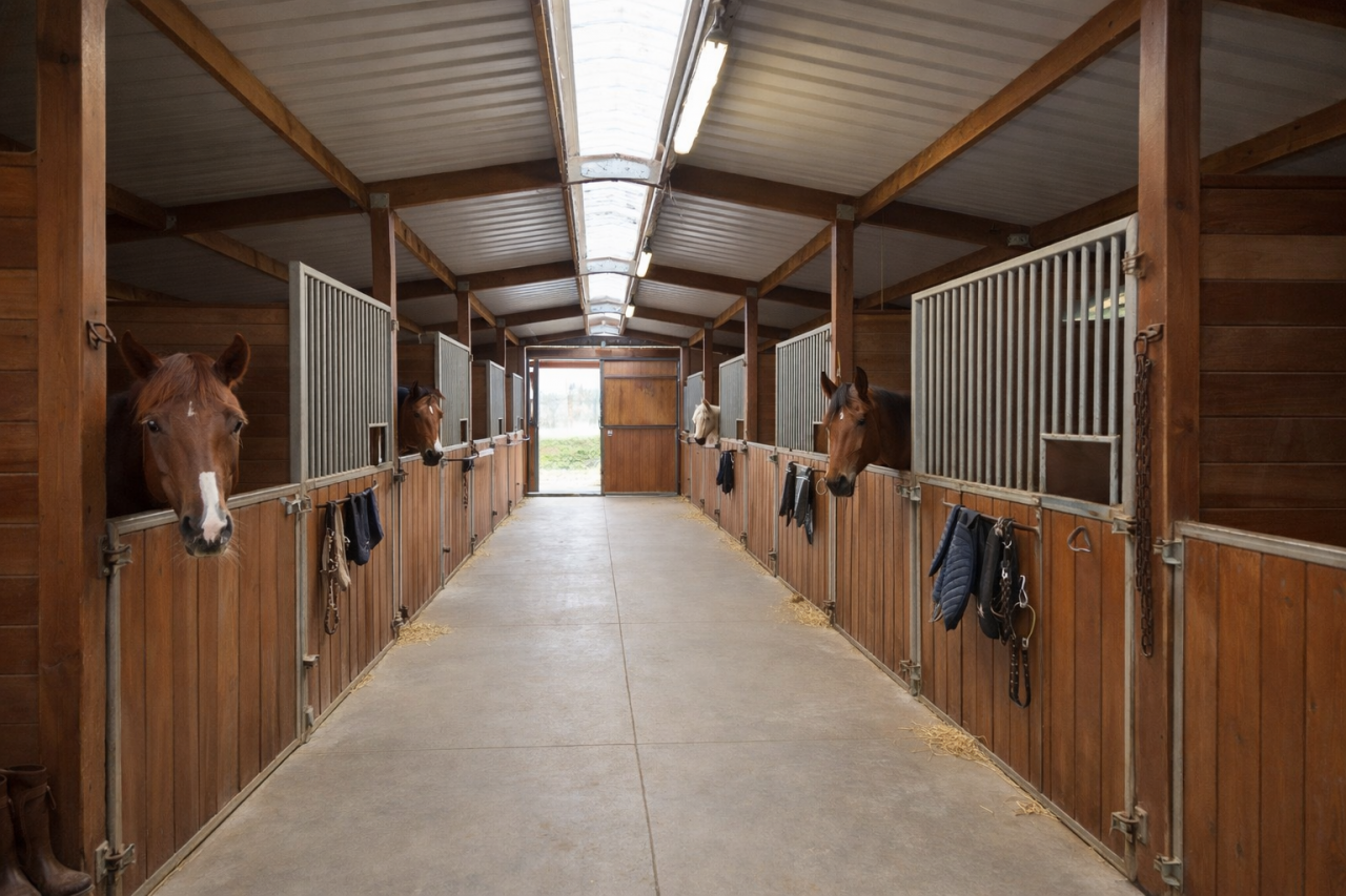 Propri&eacute;t&eacute; &eacute;questre avec &eacute;curie, man&egrave;ge et ~13ha