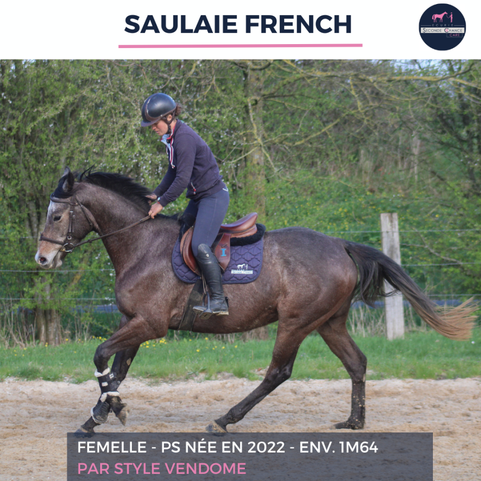 SAULAIE FRENCH - PS - 4 ANS