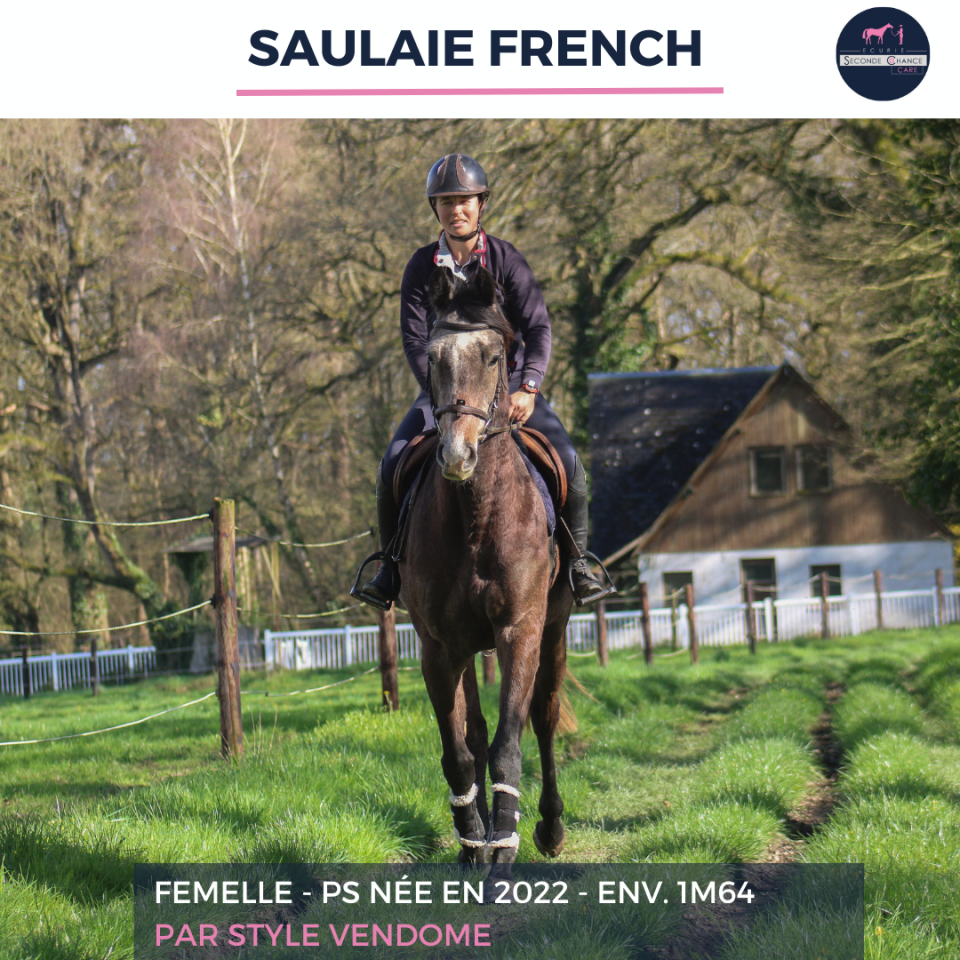 SAULAIE FRENCH - PS - 4 ANS