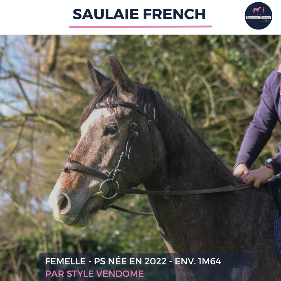 SAULAIE FRENCH - PS - 4 ANS
