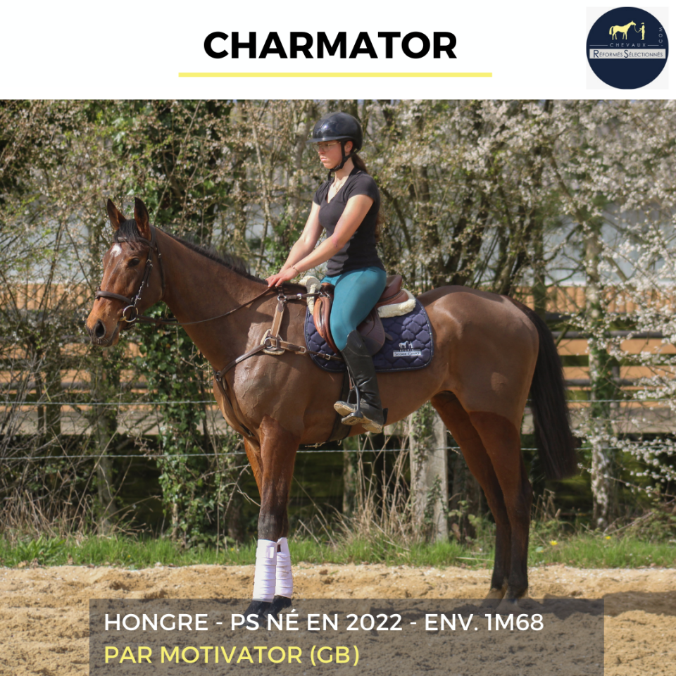 CHARMATOR - PS - 4 ANS