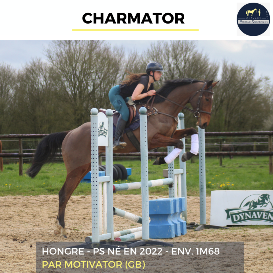 CHARMATOR - PS - 4 ANS