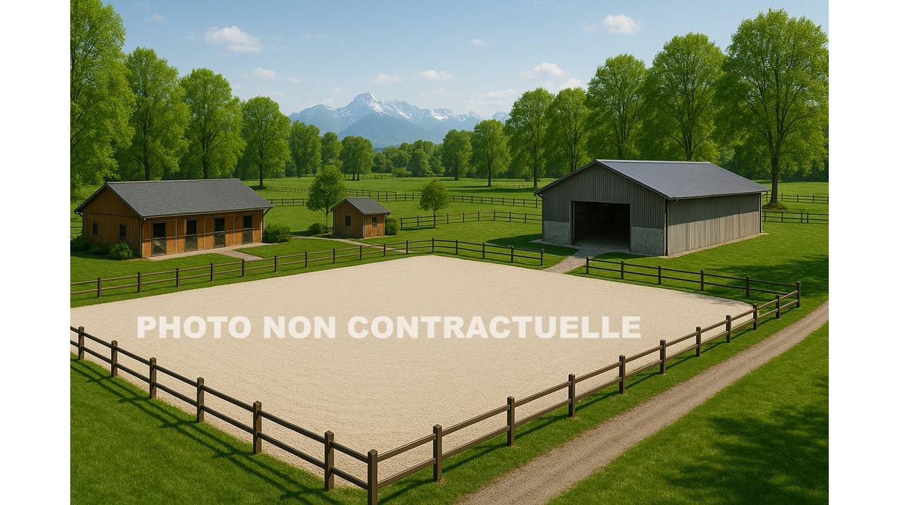 Ecurie en activit&eacute; proche Gen&egrave;ve - Ain (01)