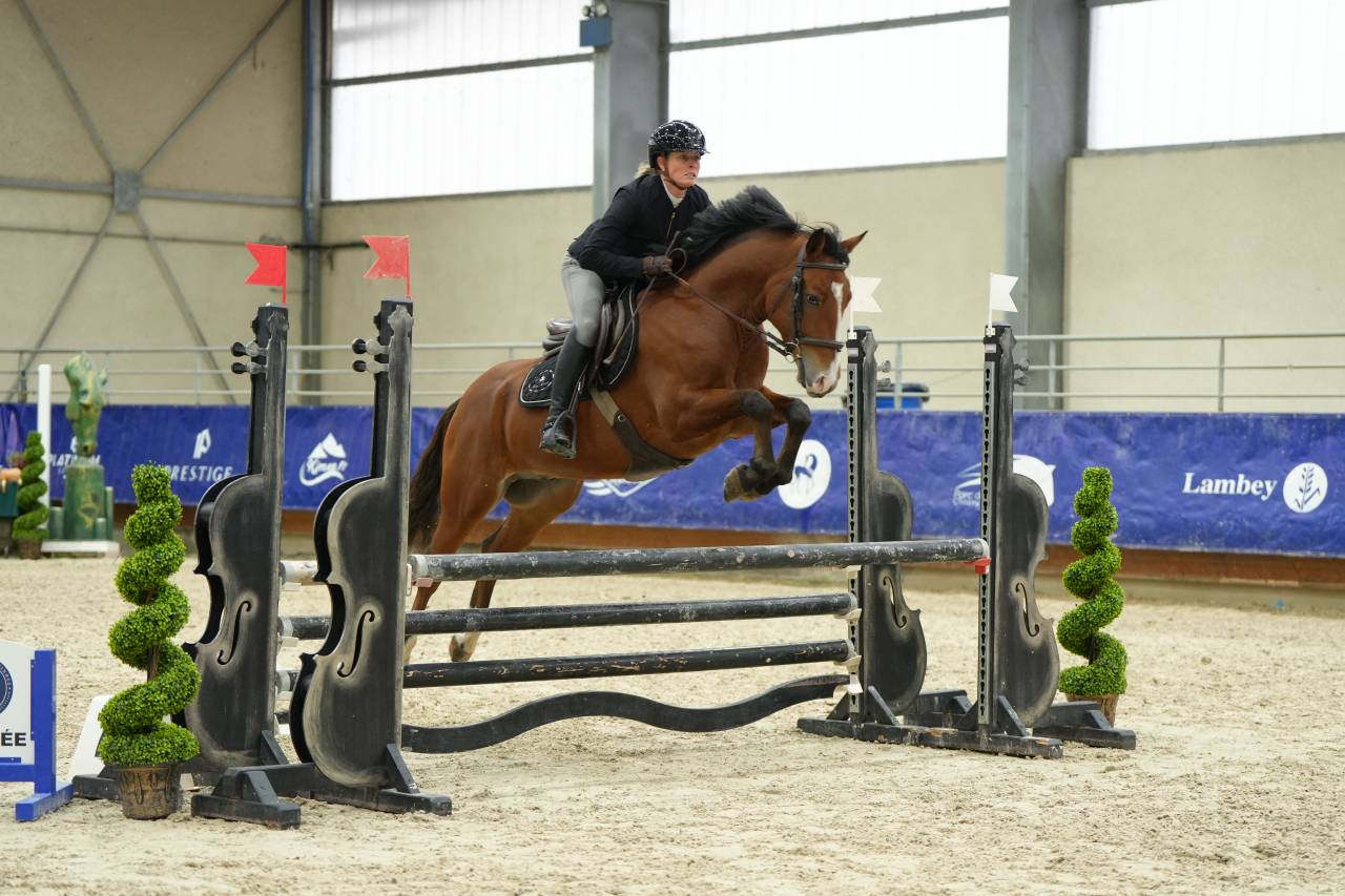 Poney PFS 5ans 
