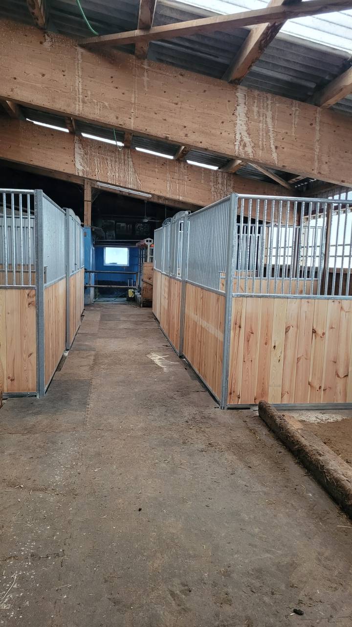 Pensions chevaux, poneys - 2037 Montmollin