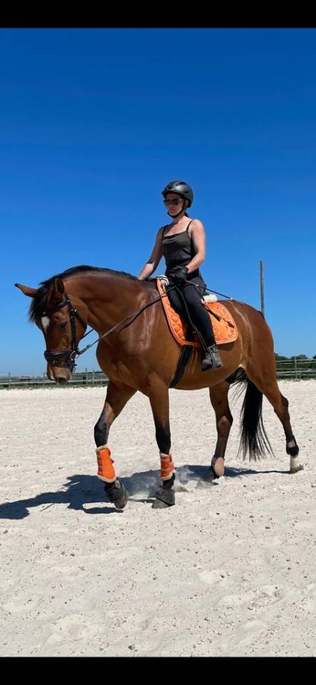 Chef d &eacute;curie, palefrenier soigneur 