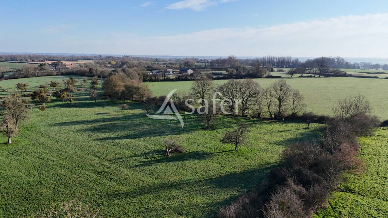 Propri&eacute;t&eacute; Herbag&egrave;re 54 hectares