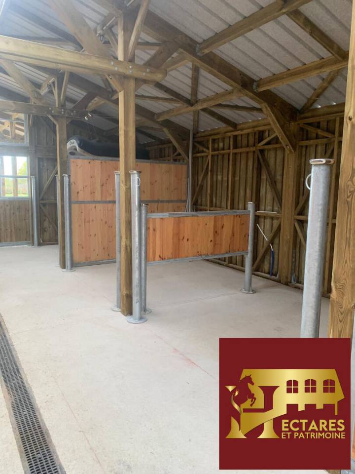 Magnifique propri&eacute;t&eacute; &eacute;questre 5,5 hectares