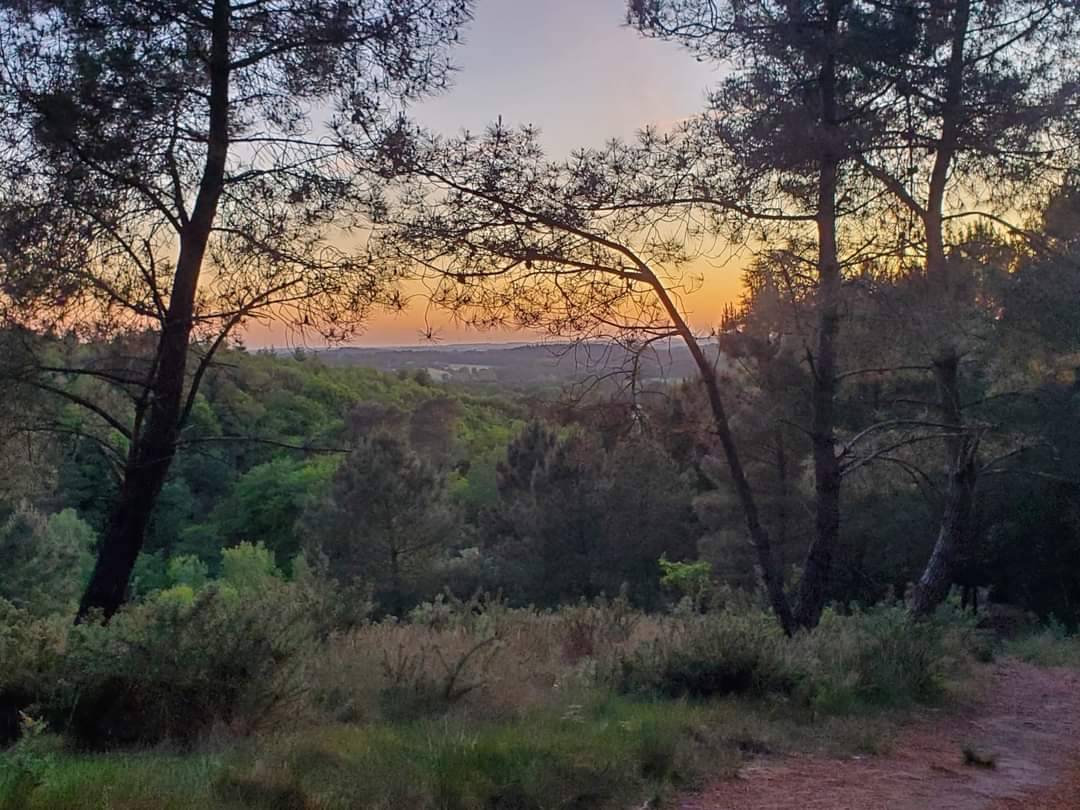 ? Vivez la magie de Broc&eacute;liande &agrave; cheval ! ?