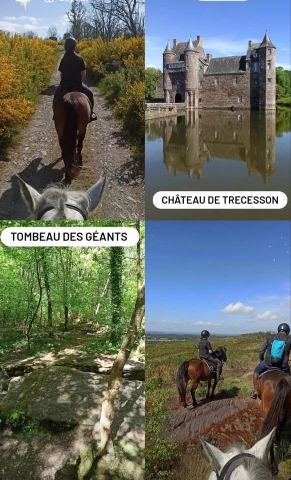 ? Vivez la magie de Broc&eacute;liande &agrave; cheval ! ?
