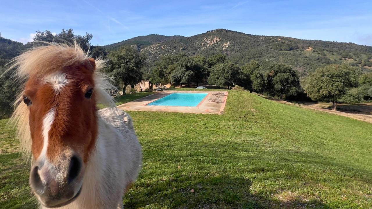 Propri&eacute;t&eacute; de caract&egrave;re pr&egrave;s du Golfe de St-Tropez (83)